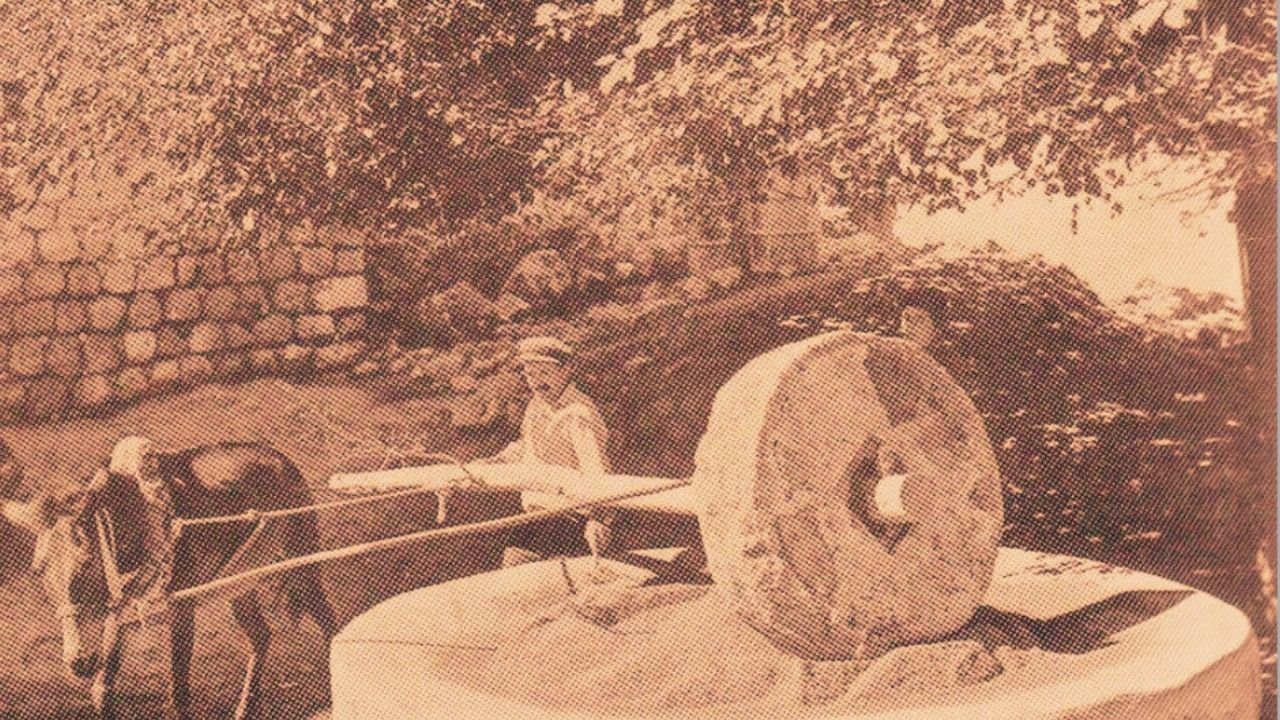Ahmet Sünbül/Dosya Haber | Diyarbakır’ı en iyi seyyahlar yazmış-1