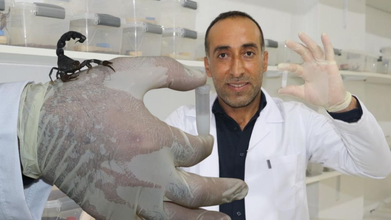 Diyarbakırlı girişimci sermayesini akreplere yatırdı