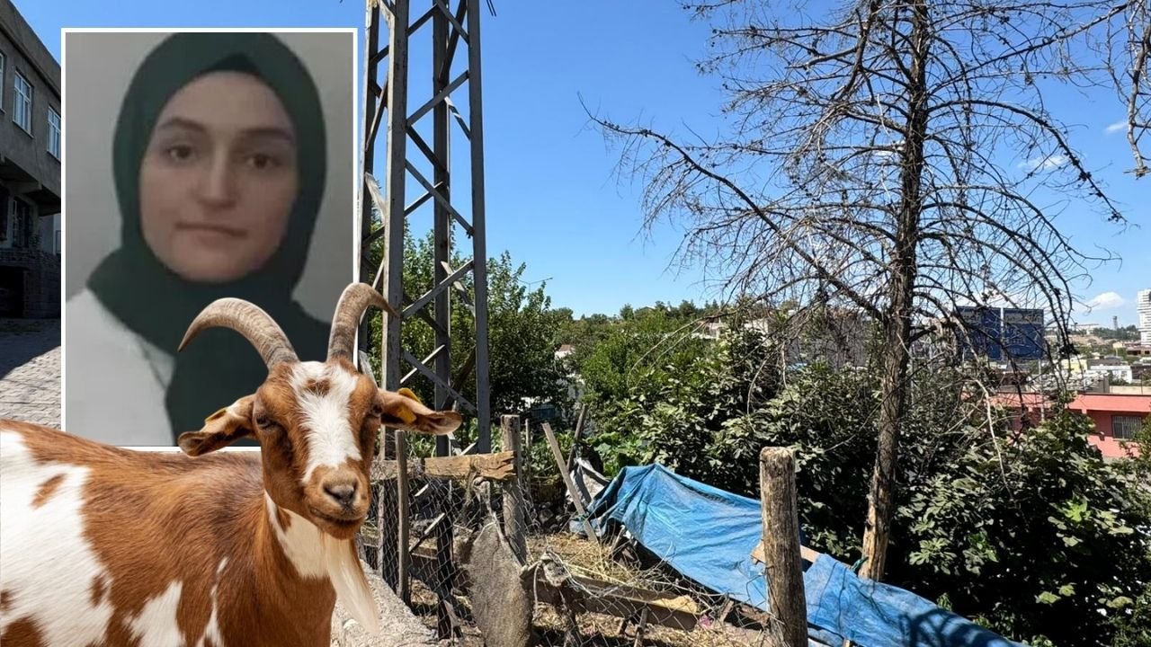 Diyarbakır’da elektrik akımına kapılan keçiye dokunan genç kız öldü