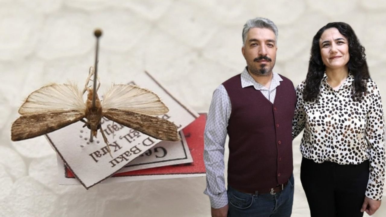 Diyarbakır'da keşfettİ, eşinin adını verdi