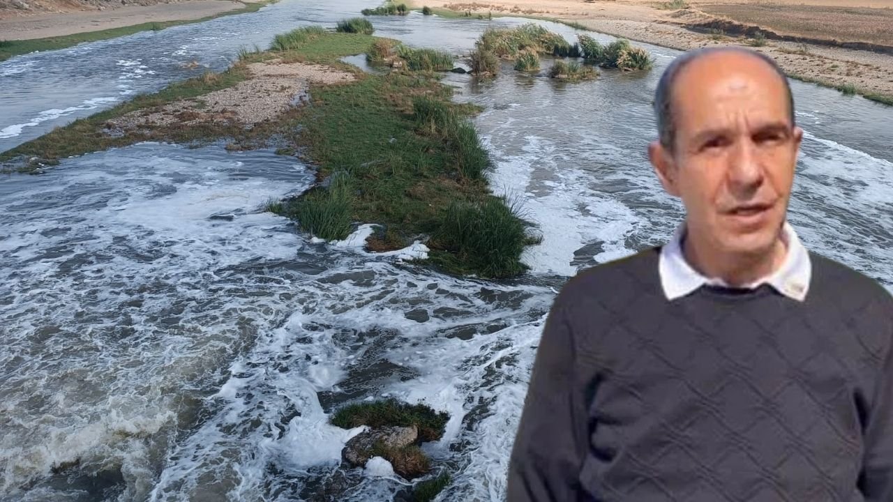 Uzman isimden 'Dicle Nehri’ne acil müdahale' çağrısı!
