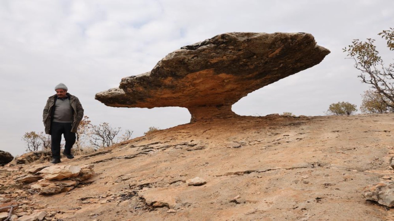 Diyarbakır'da buzul çağdan günümüze milyon yıllık doğal miras