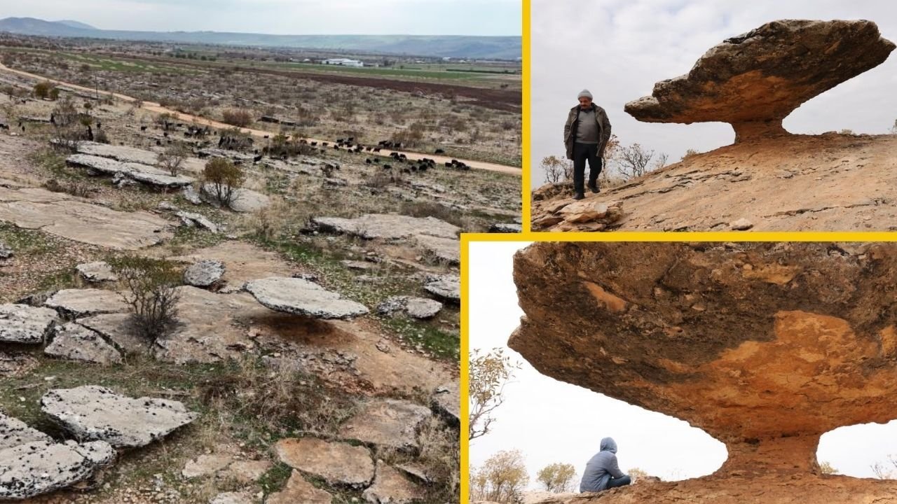 Diyarbakır'da buzul çağdan günümüze milyon yıllık doğal miras