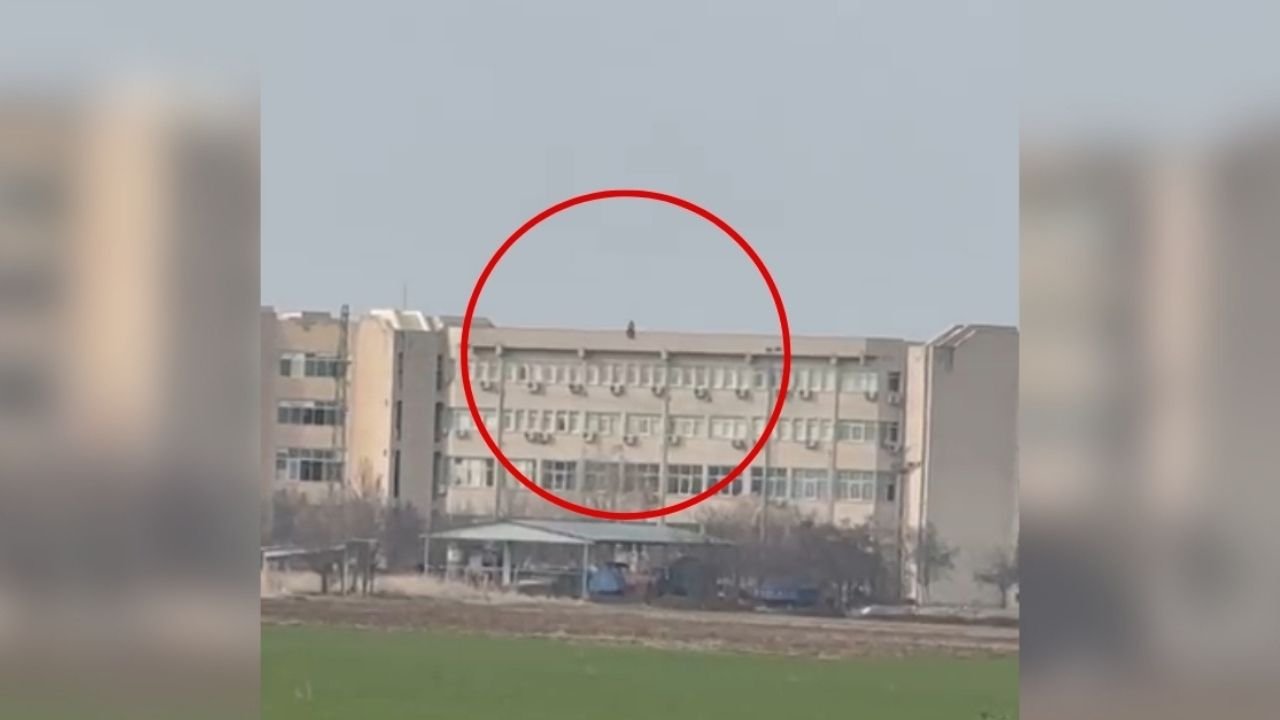 Diyarbakır’da heyecanlı dakikalar; Çatıda protesto