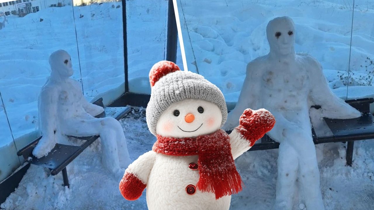 Diyarbakır’da Karla Gelen Güzellik: Duraktaki Gizemli Yolcu Görenleri Gülümsetiyor!