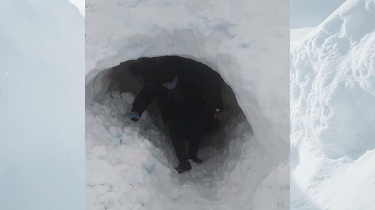 Yer Diyarbakır; Kardan kapanan ahıra tünel açarak girdiler