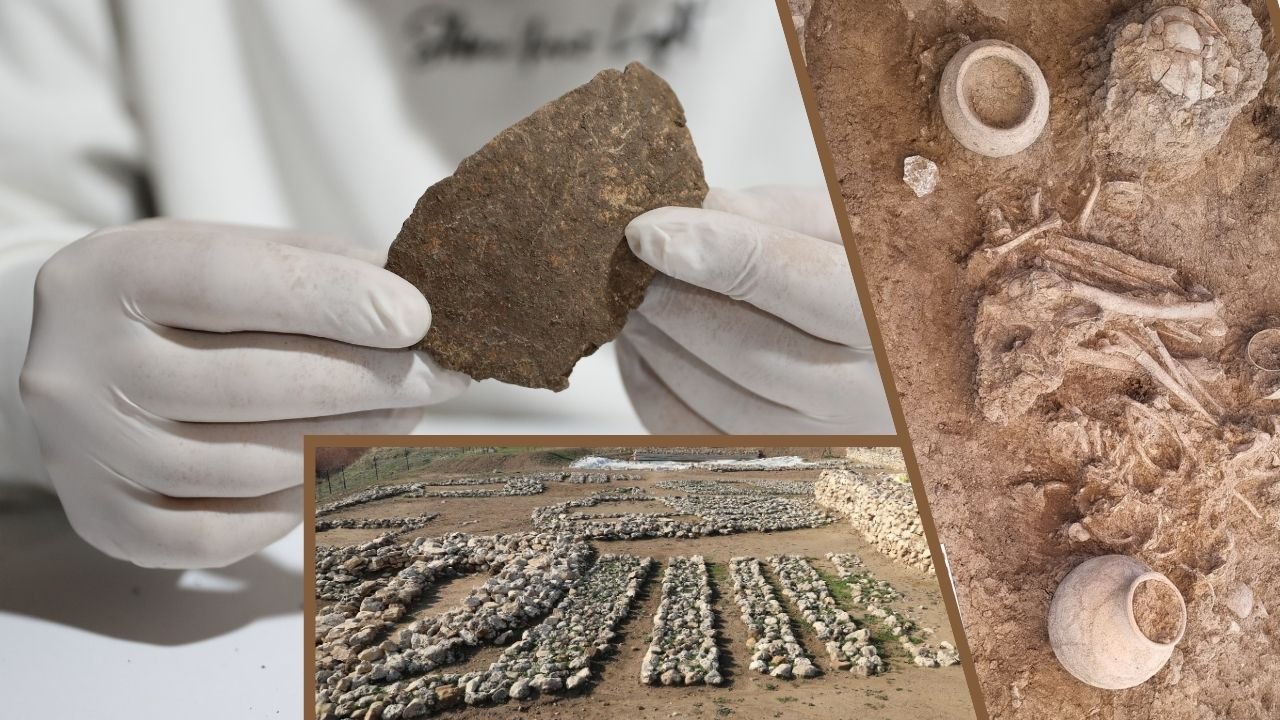 Çayönü’nün sırrı; 12 Bin yıllık DNA kodları Diyarbakır’da çözülüyor