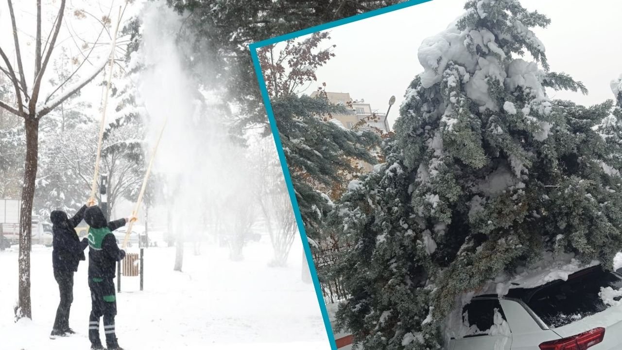 Diyarbakır Kayapınar’da binlerce ağaç ve fidan kar esaretinden kurtarıldı