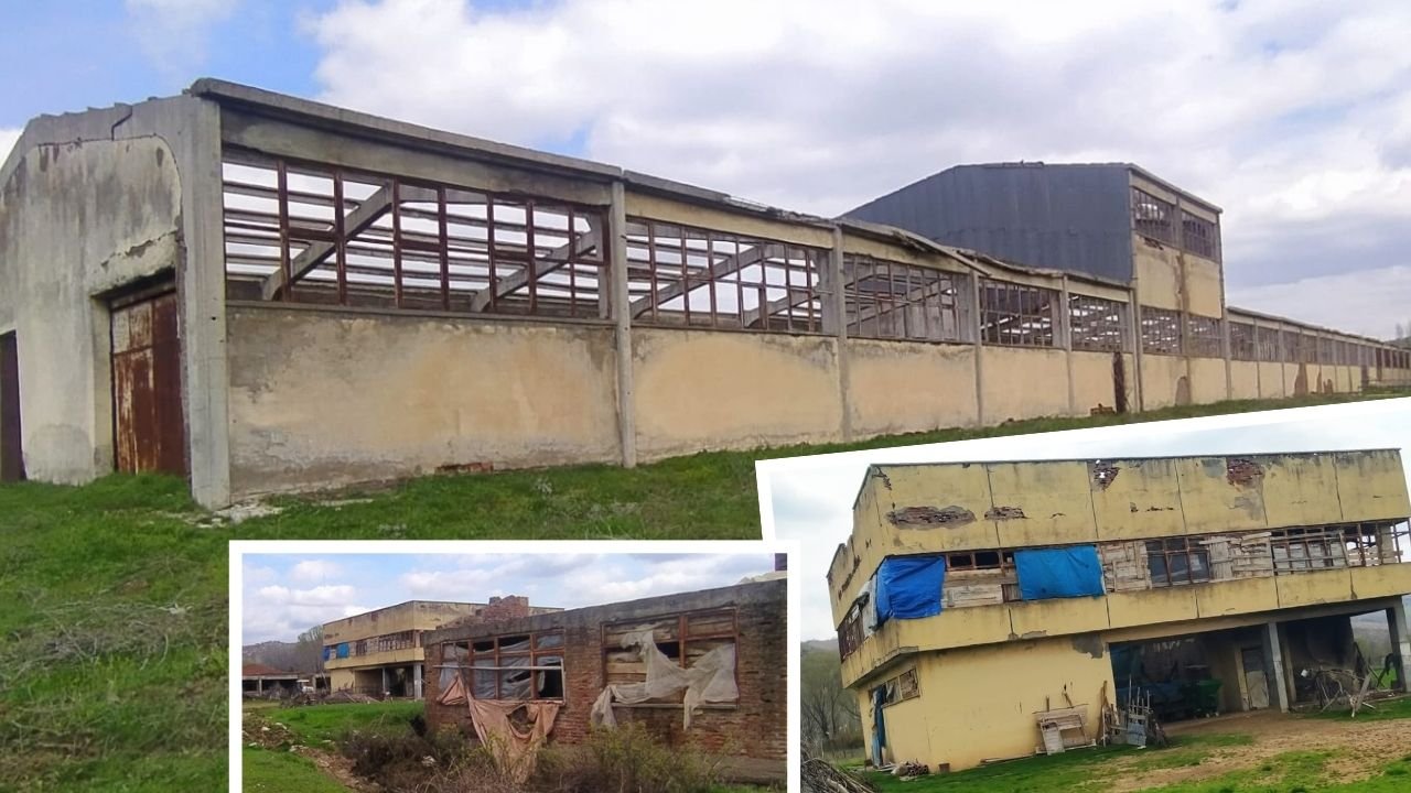 Yarım asırlık umut yeniden canlandı: Lice salça Fabrikası Kooperatifi davasında karar!