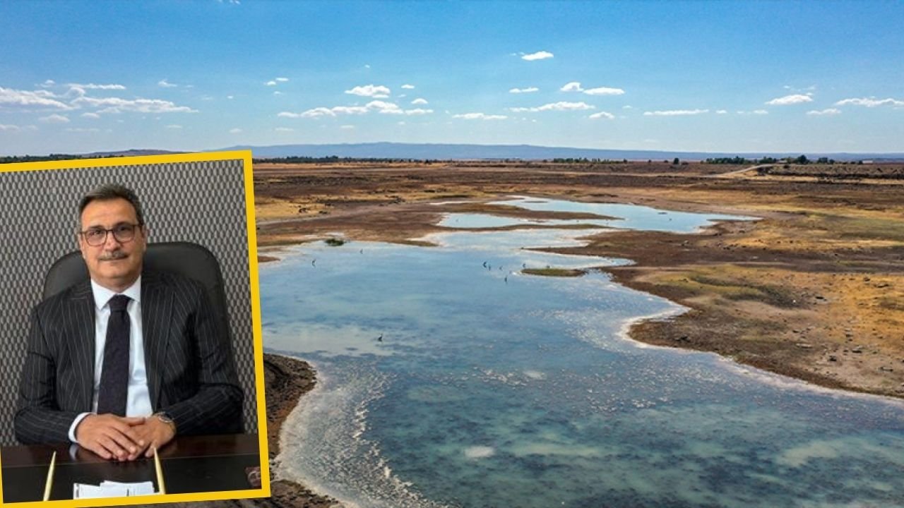 Diyarbakır'ın yaşam damarları; 159 noktada hayat var