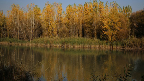 Hevsel Bahçeleri ve Dicle Nehri’nde sonbahar