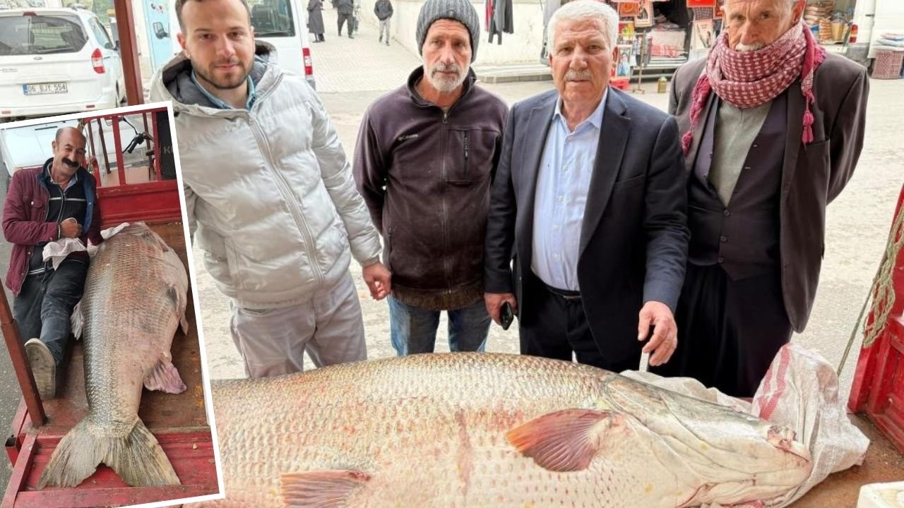 Yer Diyarbakır; Bu balık nehirden çıktı