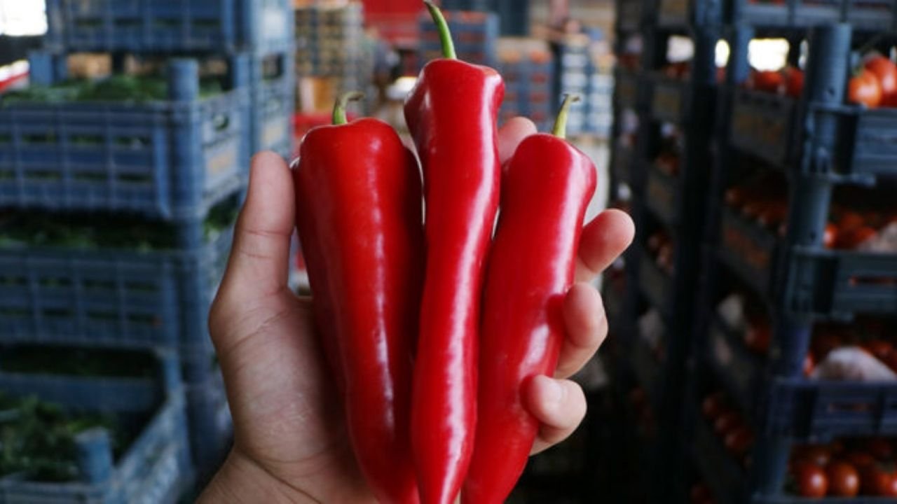 Bakanlık ifşa etti; Diyarbakır’da zincir marketin 7 katlık fiyat oyunu