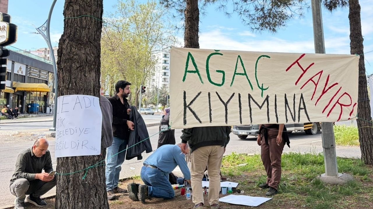 Diyarbakır Büyükşehir’in ağaç sökümüne tepki