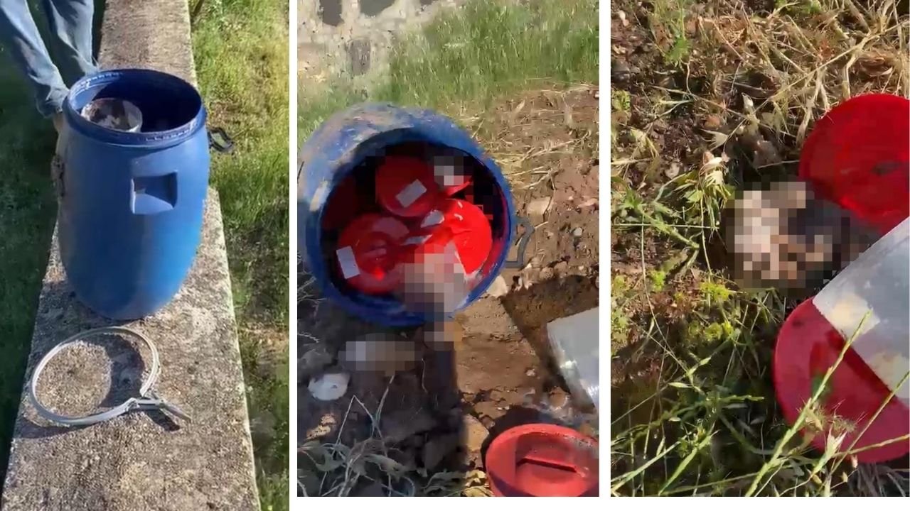 Mezarlıkta kan donduran görüntü: Plastik kutularda 21 cenin bulundu!