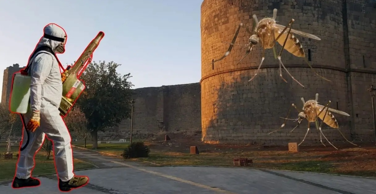 Diyarbakır’da sivrisinek alarmı!