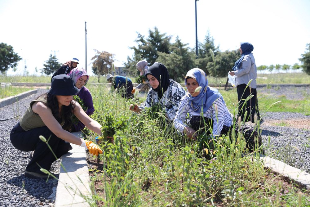 Diyarbakır’da kadın eliyle gelen şifa