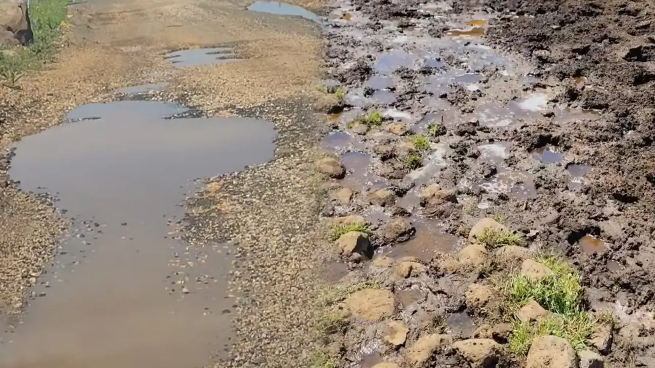 Diyarbakır’daki 700 nüfuslu mahallede altyapı isyanı:  Kokudan duramıyoruz!
