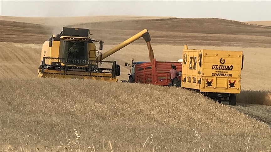 Diyarbakır’da çiftçinin yüzü gülüyor!