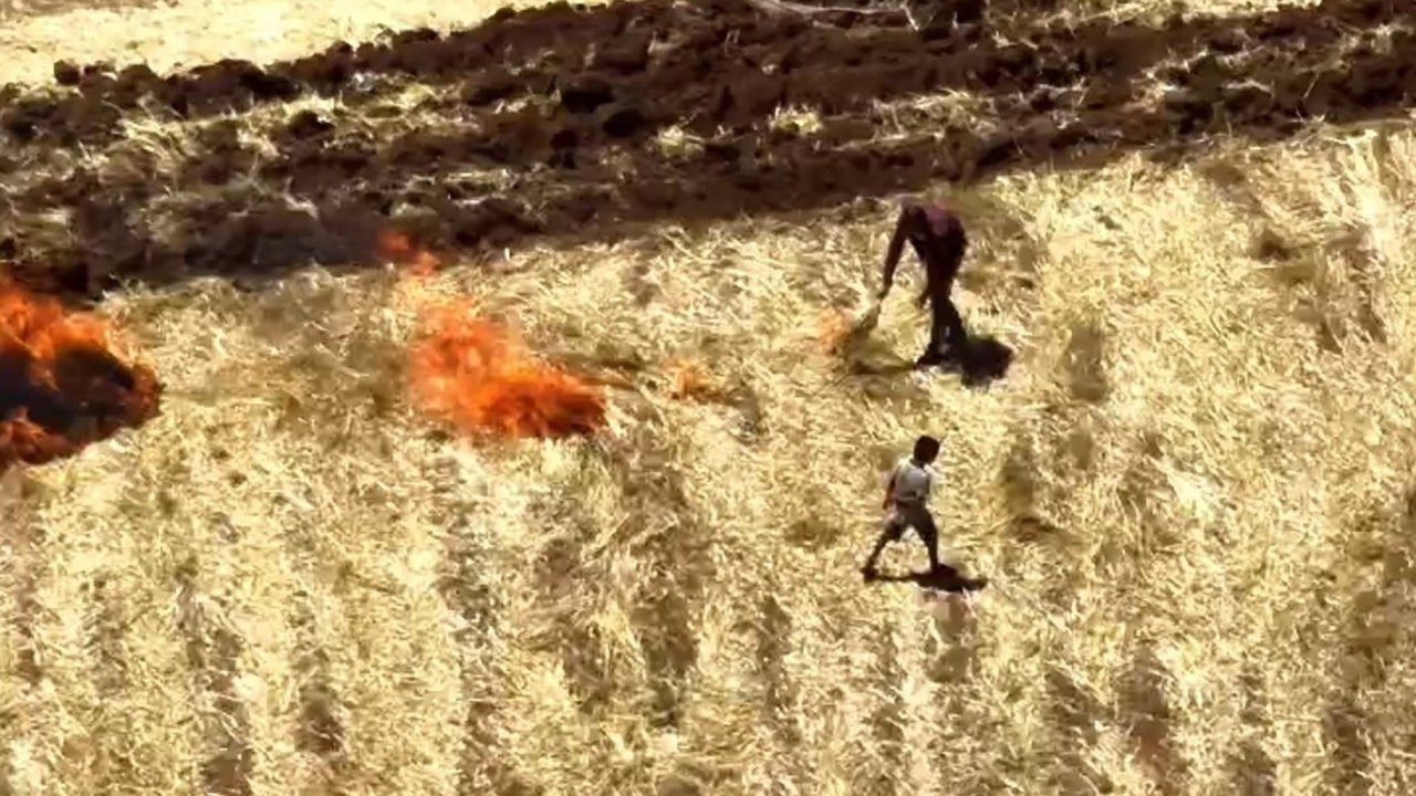 Buğday tarlalarında anız yakanlar dronlara yakalandı