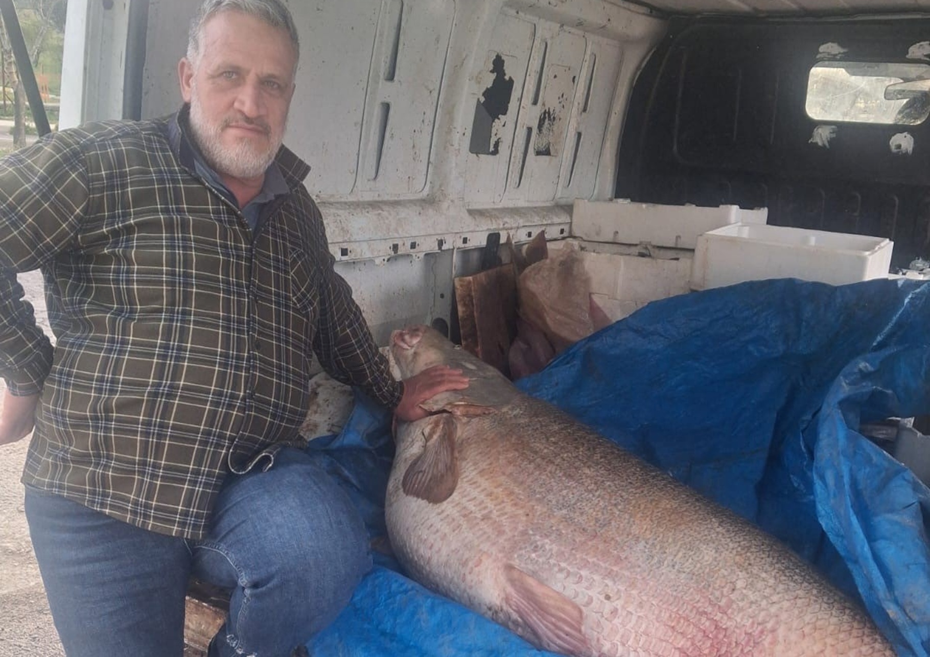 Diyarbakır’da av yasağının ilk gününde ağlara dev turna takıldı: Tam 130 kilogram!