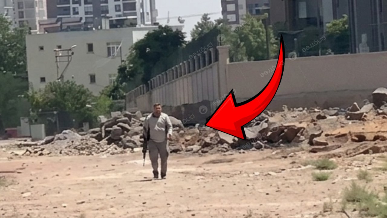 Diyarbakır'da köpek katliamı; Elinde silahla görüntülendi, vatandaşlar tepki gösterdi
