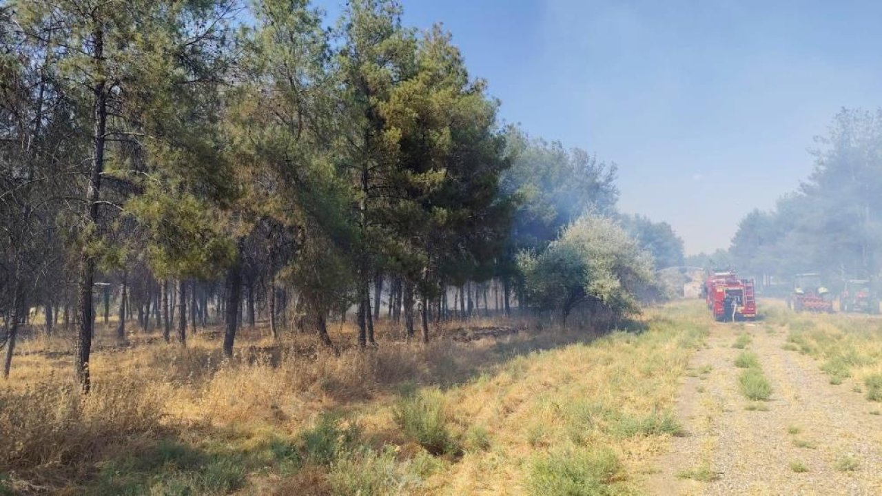 Diyarbakır'da korkutan yangın: Onkoloji Hastanesi çevresini duman kapladı
