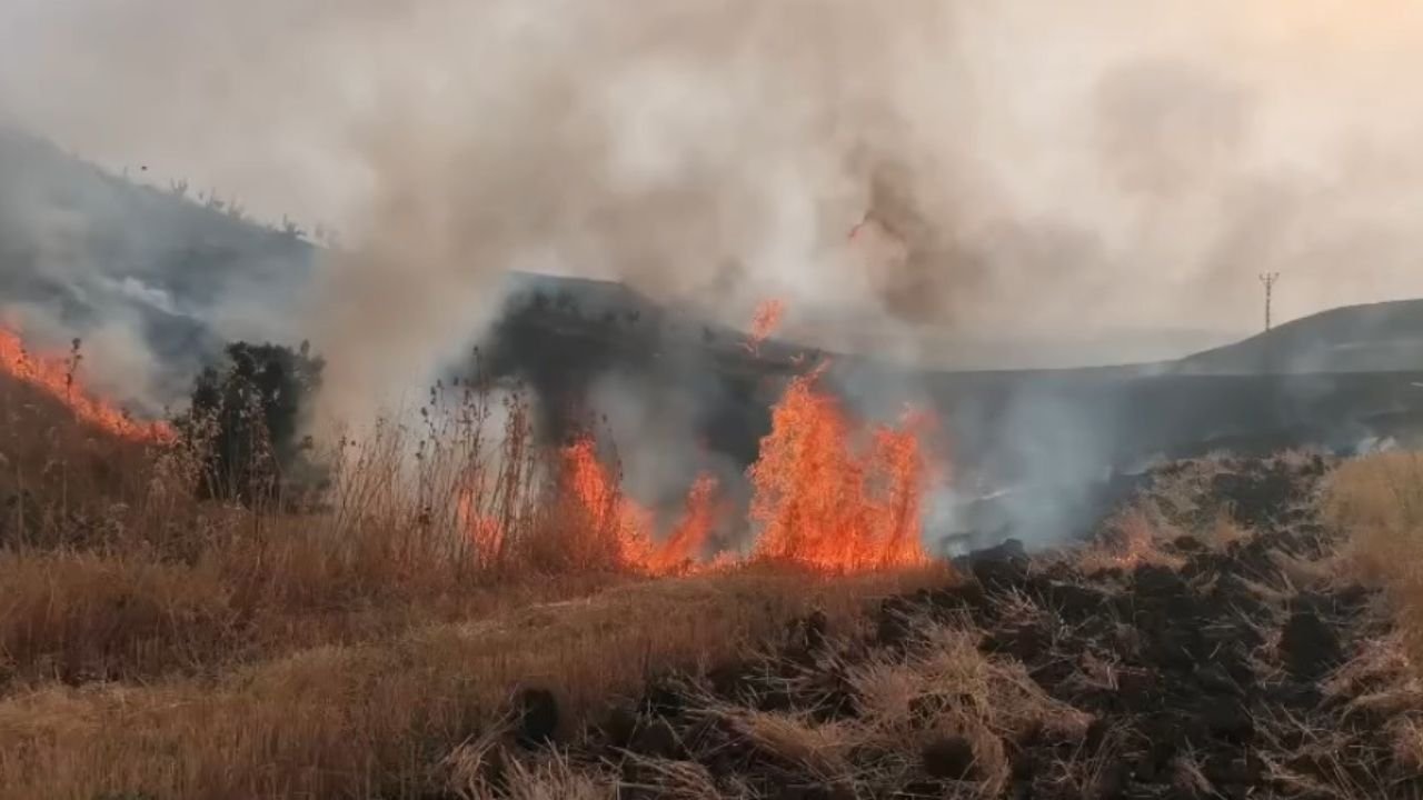 Diyarbakır'ın bitmeyen sorunu; Bu kez Silvan'da anız yangını