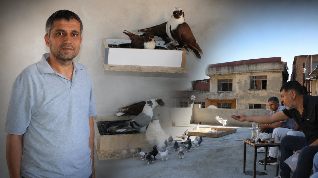 Yangında küle dönmüştü: Diyarbakır’daki güvercin oteli yeniden açıldı