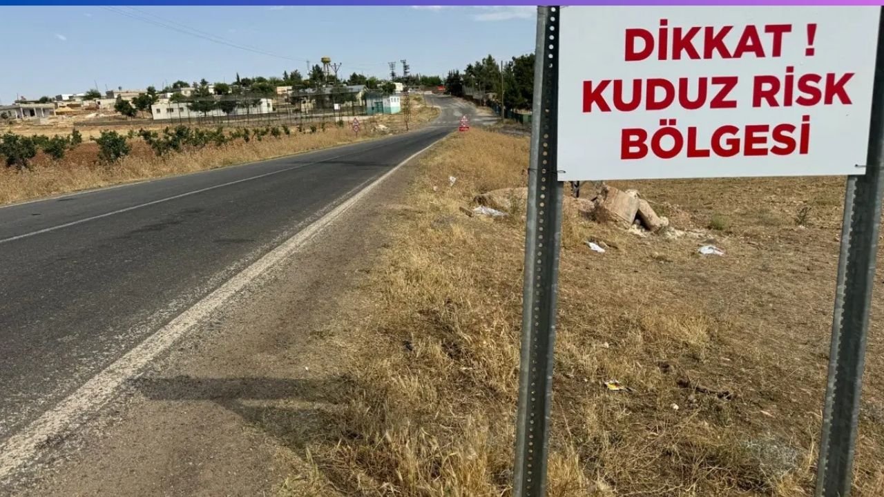 Diyarbakır’da kedinin ısırdığı çocuk entübe edildi: Kuduz testi pozitif çıktı