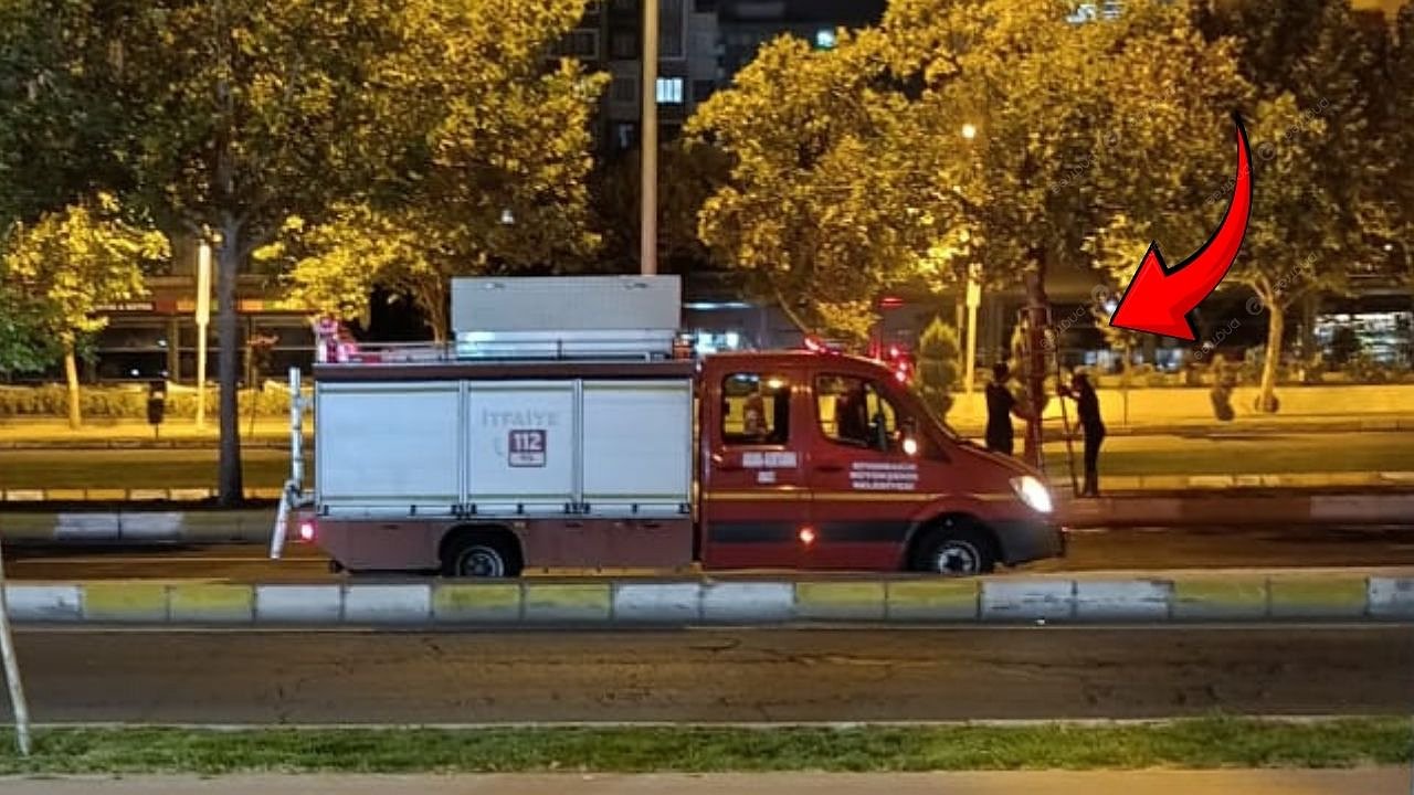 Diyarbakır itfaiyesi bu kez kedi için harekete geçti