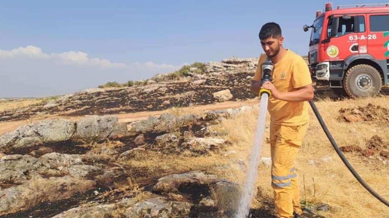 Diyarbakır'da 400 dönüm alan yangından etkilendi
