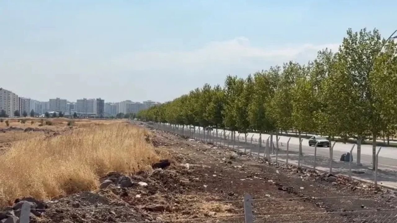 Diyarbakır’da milyonlarca liralık Hazine arazisi üçe bölündü