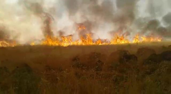 VİDEO HABER - ‘Anız yangınlarından dolayı toprak özelliğini yitirdi’