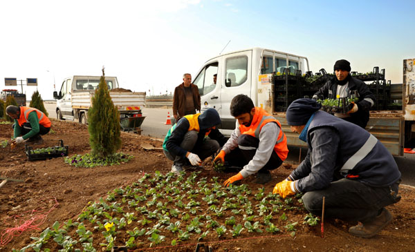 1 milyon 326 bin mevsimlik çiçek dikildi