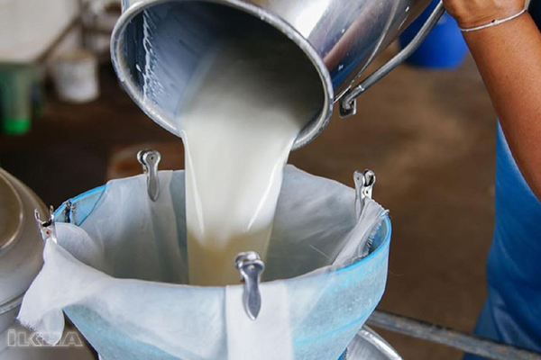 Süt üretimi yüzde 10 düştü
