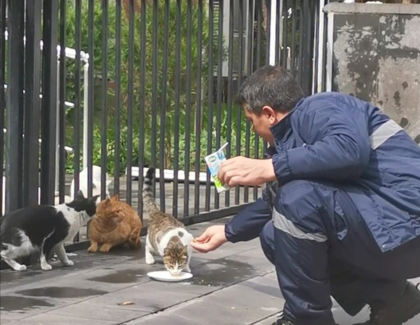 Sokak hayvanlarının imdadına temizlik ekipleri yetişti