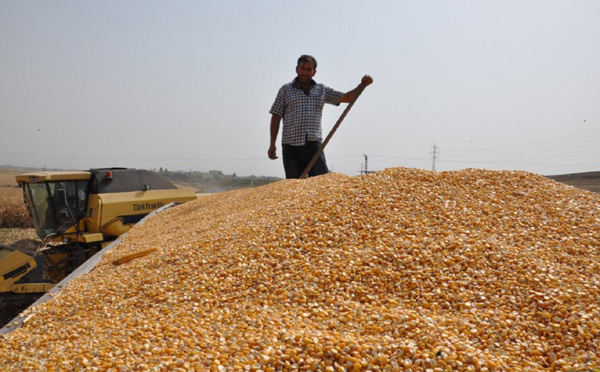 Video Haber:“Tereddüde düşen çiftçi üretimden vazgeçecek”