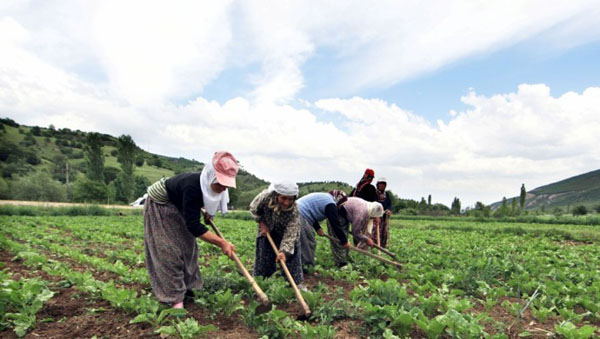 ‘Çiftçiler arasındaki haksız rekabeti reddediyoruz’