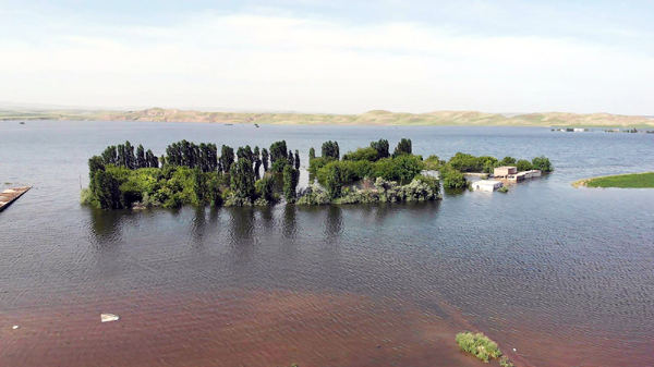 VİDEO HABER - Yükselen sular Bismil’in köylerine ulaştı