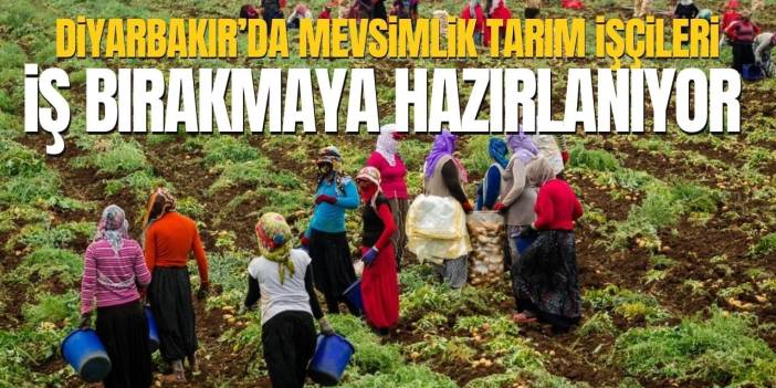 Diyarbakırlı tarım işçileri: Adil yevmiye istiyoruz, aksi halde işi bırakacağız!