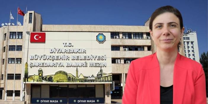 Doğan Hatun'un istifasının ardından Diyarbakır Büyükşehir'de yeni eşbaşkan kim olacak?