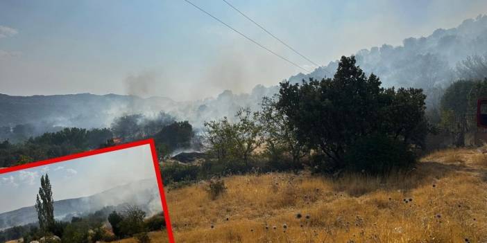 Diyarbakır Lice’ de söndürülen yangın saatler sonra tekrar başladı