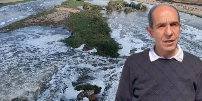 Uzman isimden 'Dicle Nehri’ne acil müdahale' çağrısı!