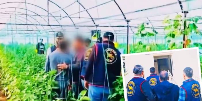 Diyarbakır’da işlenen cinayetin katil zanlısı bakın nerede yakalandı?