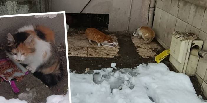 Diyarbakırlı gençten dondurucu soğukta iç ısıtan hareket