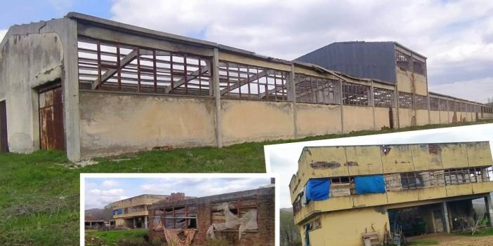 Yarım asırlık umut yeniden canlandı: Lice salça Fabrikası Kooperatifi davasında karar!