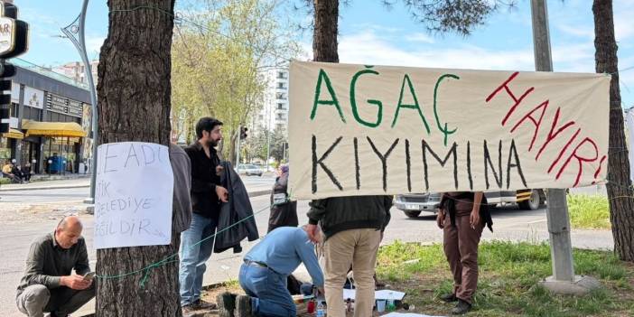 Diyarbakır Büyükşehir’in ağaç sökümüne tepki