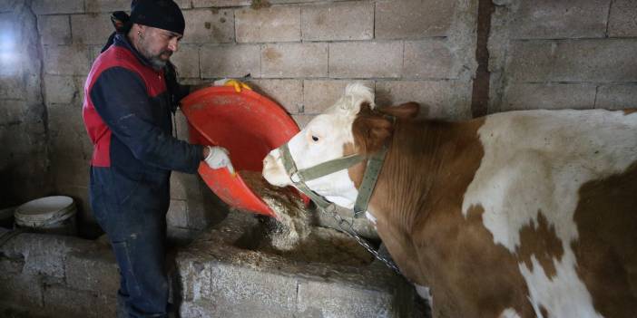 Rezidans Hayatını Bıraktı, Diyarbakır'da Köye Yerleşti! Sahne Işıklarından "Küpeli Çobanlığa" Sıra Dışı Bir Yaşam