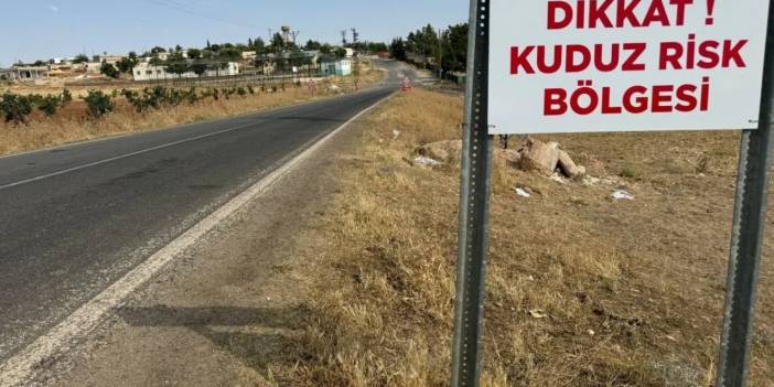 Diyarbakır’da kedinin ısırdığı çocuk entübe edildi: Kuduz testi pozitif çıktı
